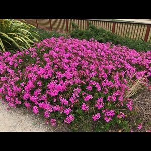 Meet your Posher, Minoru